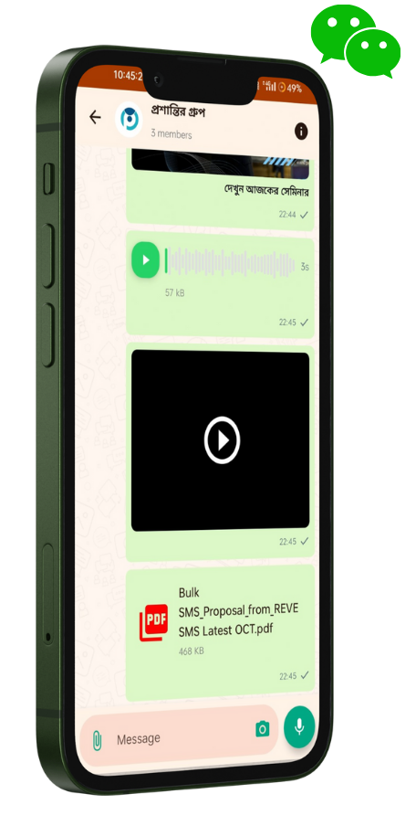 Chat Interface